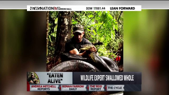 Paul Rosolie 'Eaten Alive' VIDEO: The Moment a Man Gets Swallowed by a Giant Anaconda