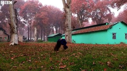Kashmir freerunning- Finding freedom in the art of parkour