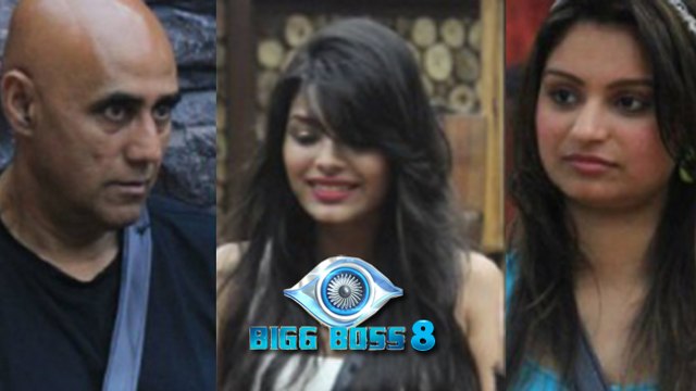Bigg Boss 8: NO ELIMINATION-Sonali Raut, Puneet Issar And Dimpy Mahajan Safe