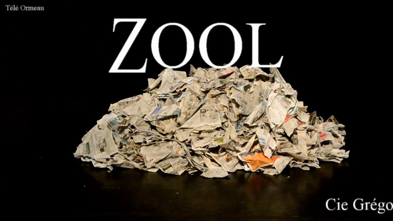 Zool