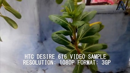 Review HTC Desire 616 Dual Sim