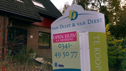 Une montagne russe dans sa maison