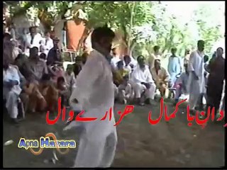Hazarewal Amazing Talent in a wedding in Haripur, must watch