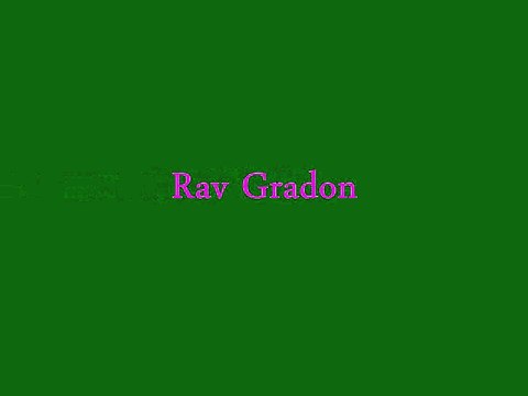 Baruch Gradon | Rav Rabbi Gradon