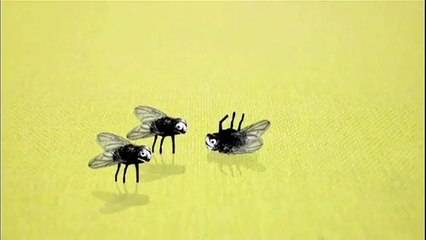 Flying  Talk... Dying fly