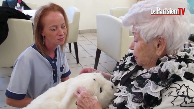 Colombes : un robot bébé phoque au secours des malades d'Alzheimer