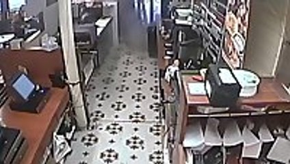 Servatii Pastry Shop Court Street Crash