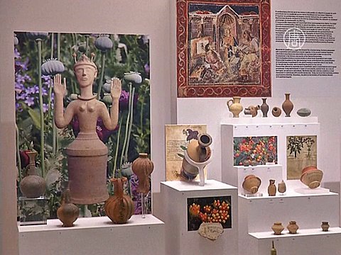 Медицина Древней Греции: аутопсия и целебные травы