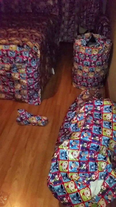 Christmas Roommate Prank