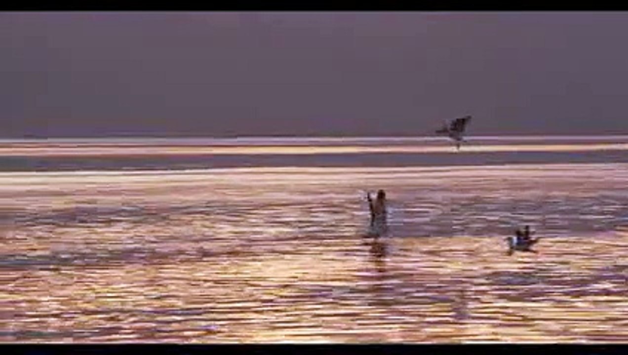 Johnny Nash, Here Again