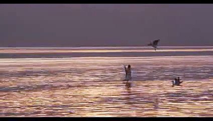 Johnny Nash, Here Again