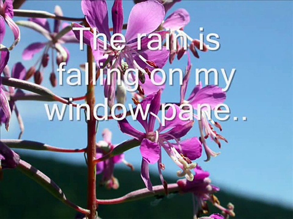 ♥Colbie Caillat - Bubbly (lyrics)♥