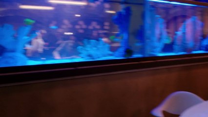 DVD New York Unité Spéciale Saison 15 - Extrait 3