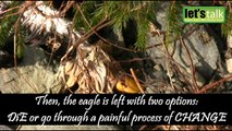 Story of an EAGLE - Survival Change Management   Inspirational   Personality Development - YouTube