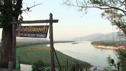 Opium production falls by a quarter in Myanmar: UN