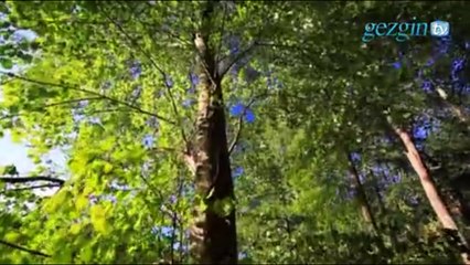 Niçin ibadet ederiz?