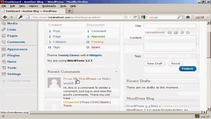 How To Clean Up A New Wordpress Blog