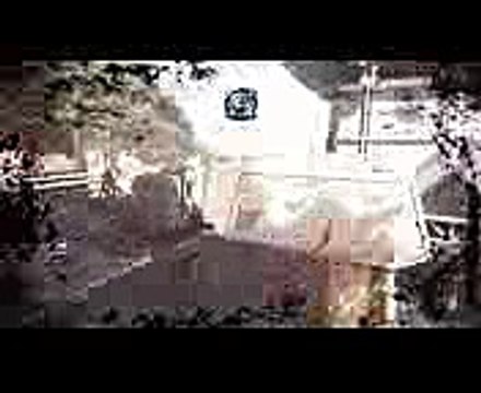 Download tms flexcel studio for vcl/lcl(delphi 6) v.3.5 crack elite edition