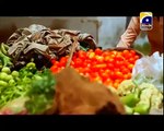 Choti Choti Khushiyan Episode 159 Full 8 December 2014