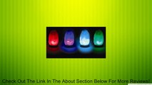 Evolution Himalayan Natural Salt USB Lamp Multi Color Changing, (1 lb Review