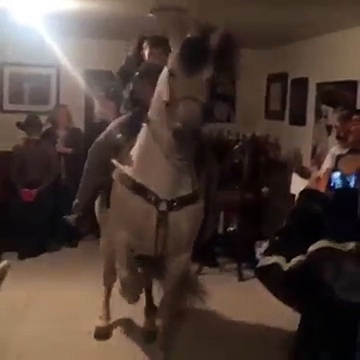 Un cheval danse dans une maison sur de la musique mexicaine