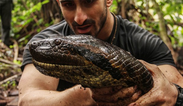 Paul Rosolie n'a pas réussi à être avalé par un anaconda