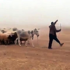 Massive PML-N Supporters Rally