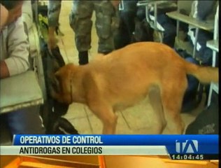 Realizan control antidrogas en colegios