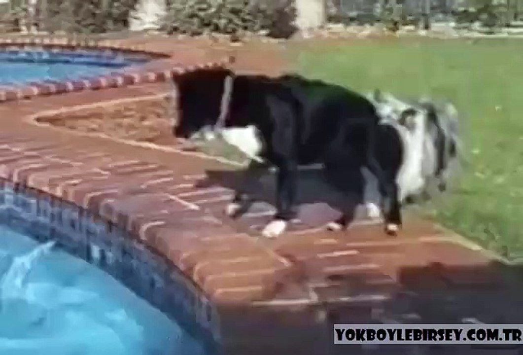 Dostluk budur işte.helal olsun.