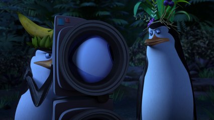 LES PINGOUINS DE MADAGASCAR - Extrait "La Diversion" [VF|HD1080p]