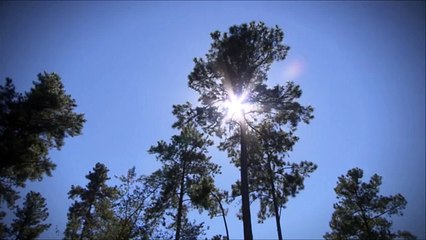 Essai BMW X6 Soir Mag 17 12 14