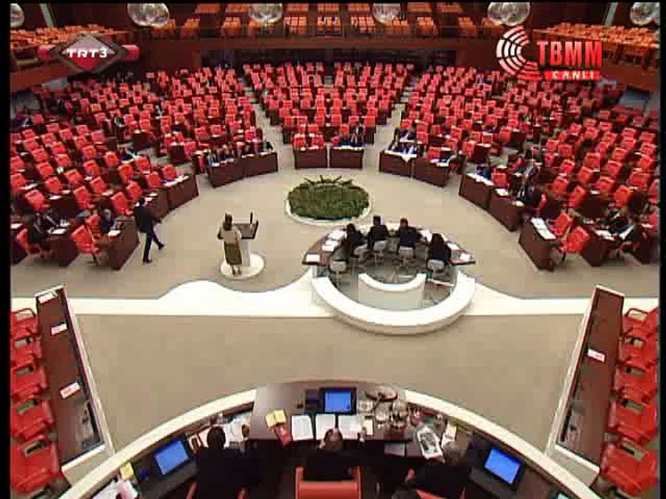 MHP Genel Baskan Yardimcisi Ruhsar Demirel 3-kasim engelliler günü dolayisiyla mecliste yaptigi konusma