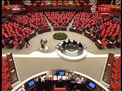 MHP Genel Baskan Yardimcisi Ruhsar Demirel 3-kasim engelliler günü dolayisiyla mecliste yaptigi konusma