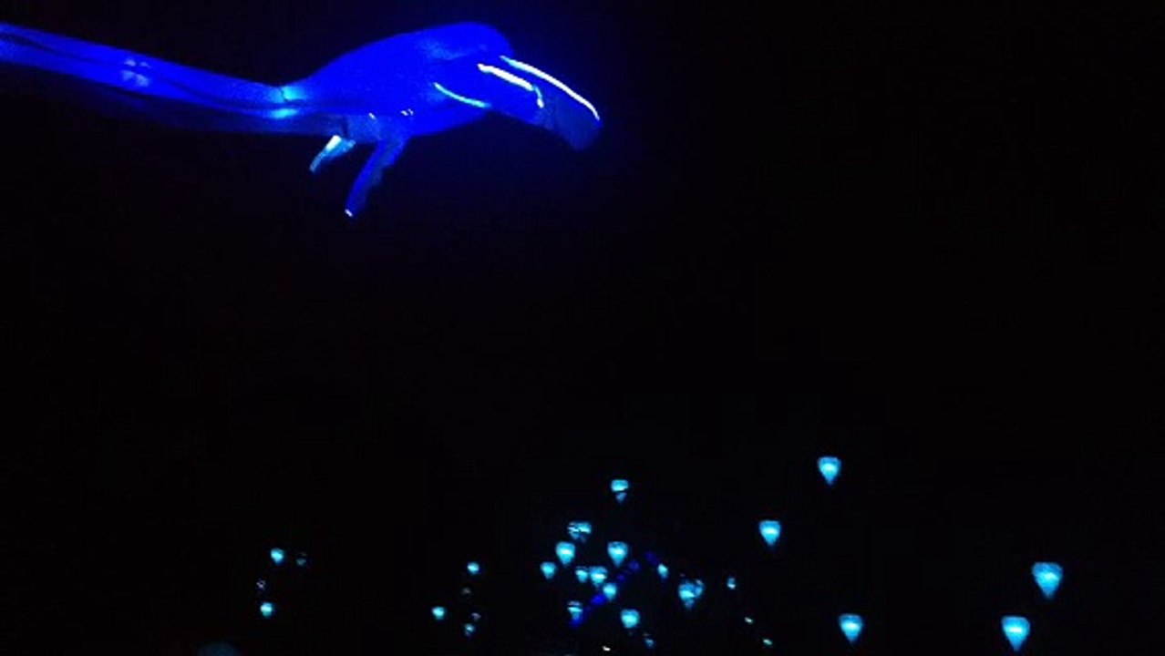 Parc de la Tête d'Or - Lyon - Fête des Lumières 2014