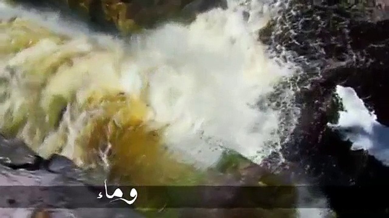 فكر وأشكر