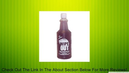 Wipe Out 6012 All Purpose Surface Cleaner for Swimming Pools, 1-Quart Review