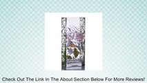 14.2-inch bird decorative square glass vase Review