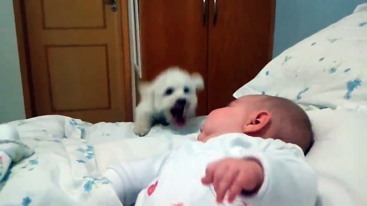 Puppy Tries His Best To See Newborn Cute Baby