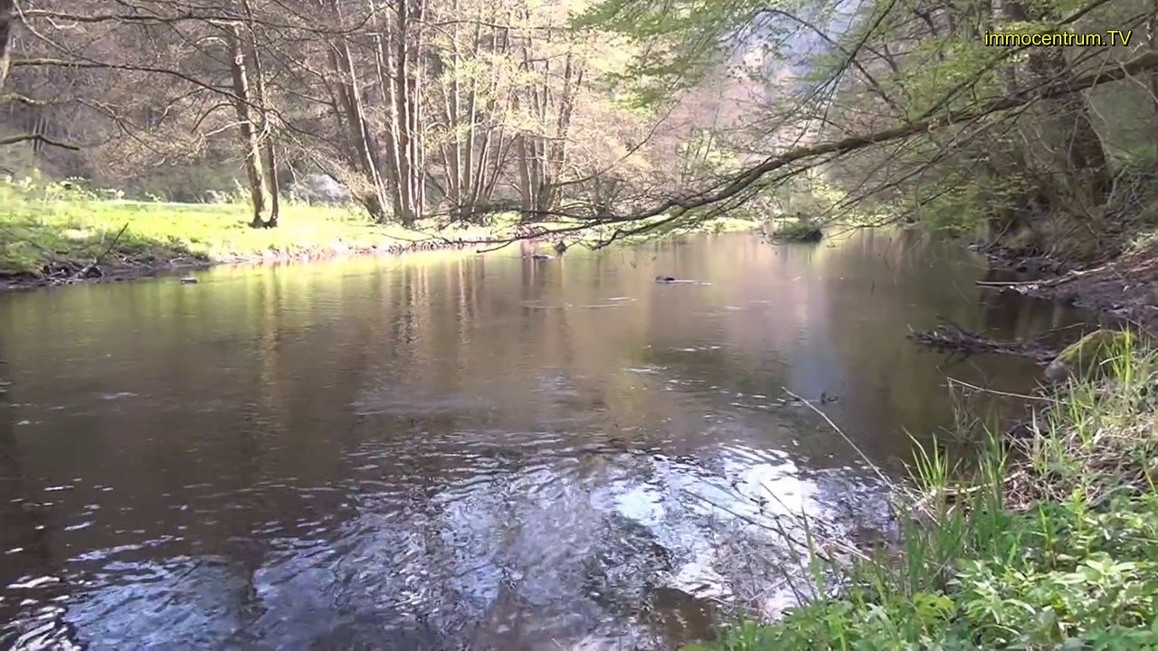 Wildromantisches Bodetal an der Bode  im sagenhaften Harz