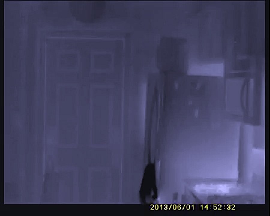 UMTI Outdoor Handheld Thermal Imaging Camera Night Vision Video 1