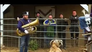 Haha! He Came to Play Saxophone but this Animal Played of its Own
