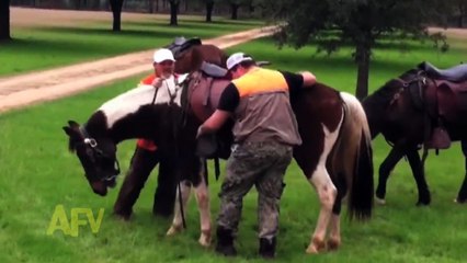 And He s Up    And He s Down    The Horse Is Laughing