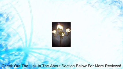 Holga Lens for Samsung NX2000 NX1100 NX1000 NX300 NX210 NX200 NX100 NX20 NX11 NX10 NX5 Review