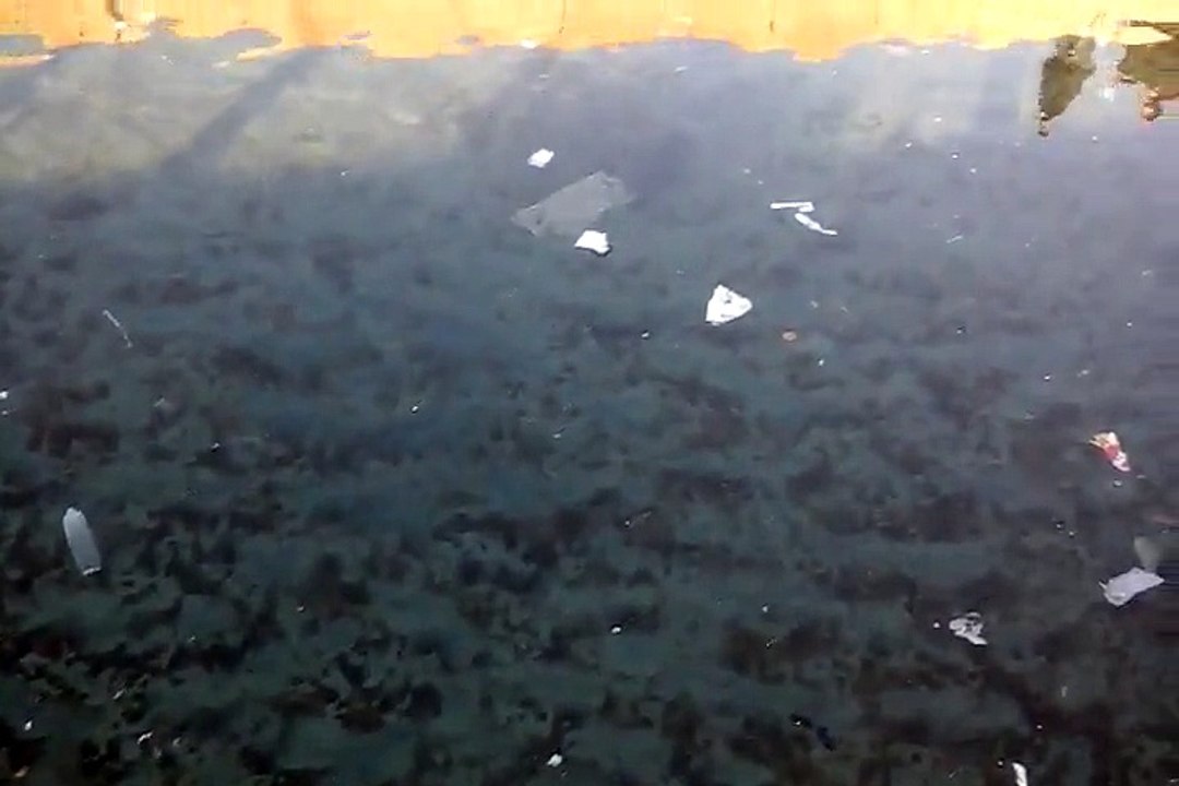 IL VIDEO - FORIO, IL PORTO E' UNA FOGNA DOPO LE PIOGGE