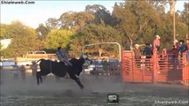 Jaripeo Rodeo West USA 2014 Toros Salvajes Y Jinetes Montando Con Espuelas Reglamentarias