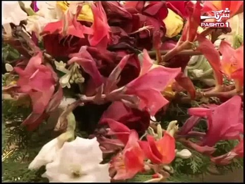 Khwandawar Sahar Peshawar - EP # 04 28 11 2014 - Avt Khyber Program 2014