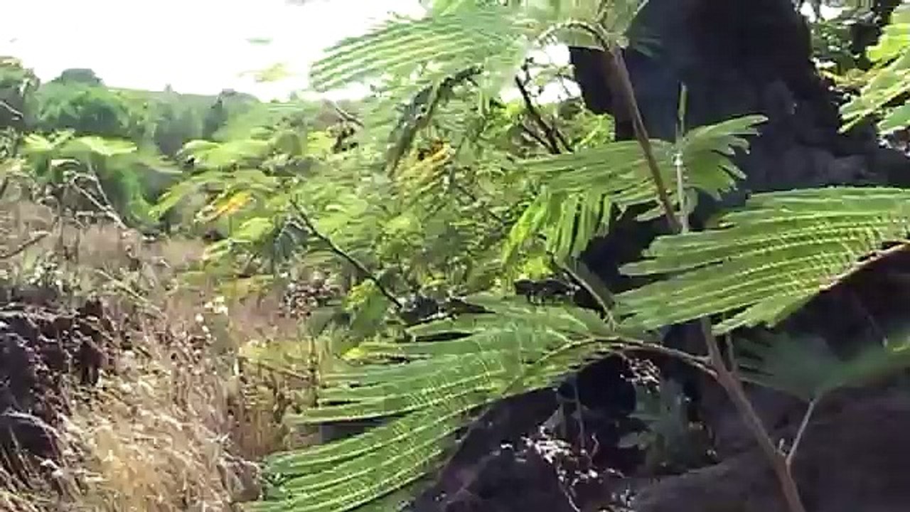 ISOLE EOLIE VULCANO e SALINA - Sicile îles Éoliennes