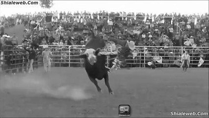 Jaripeo Extremo El Super Toro Mas Salvaje De Las Mejores Ganaderias De Mexico EL CANELO