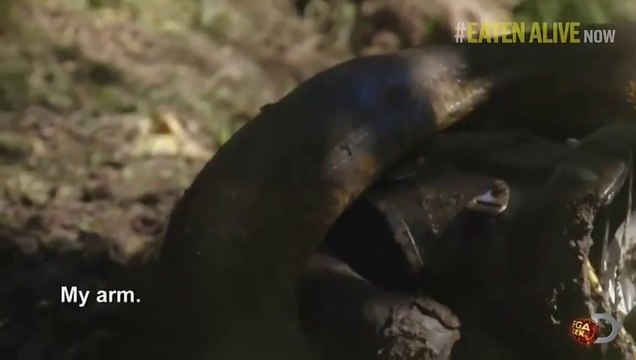 Mangé vivant par un Anaconda : mission ratée!