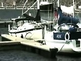 [+18 ~ Sexy Funny Girl]Classic WTF ! Whale Try To jump On Boat - Fails World